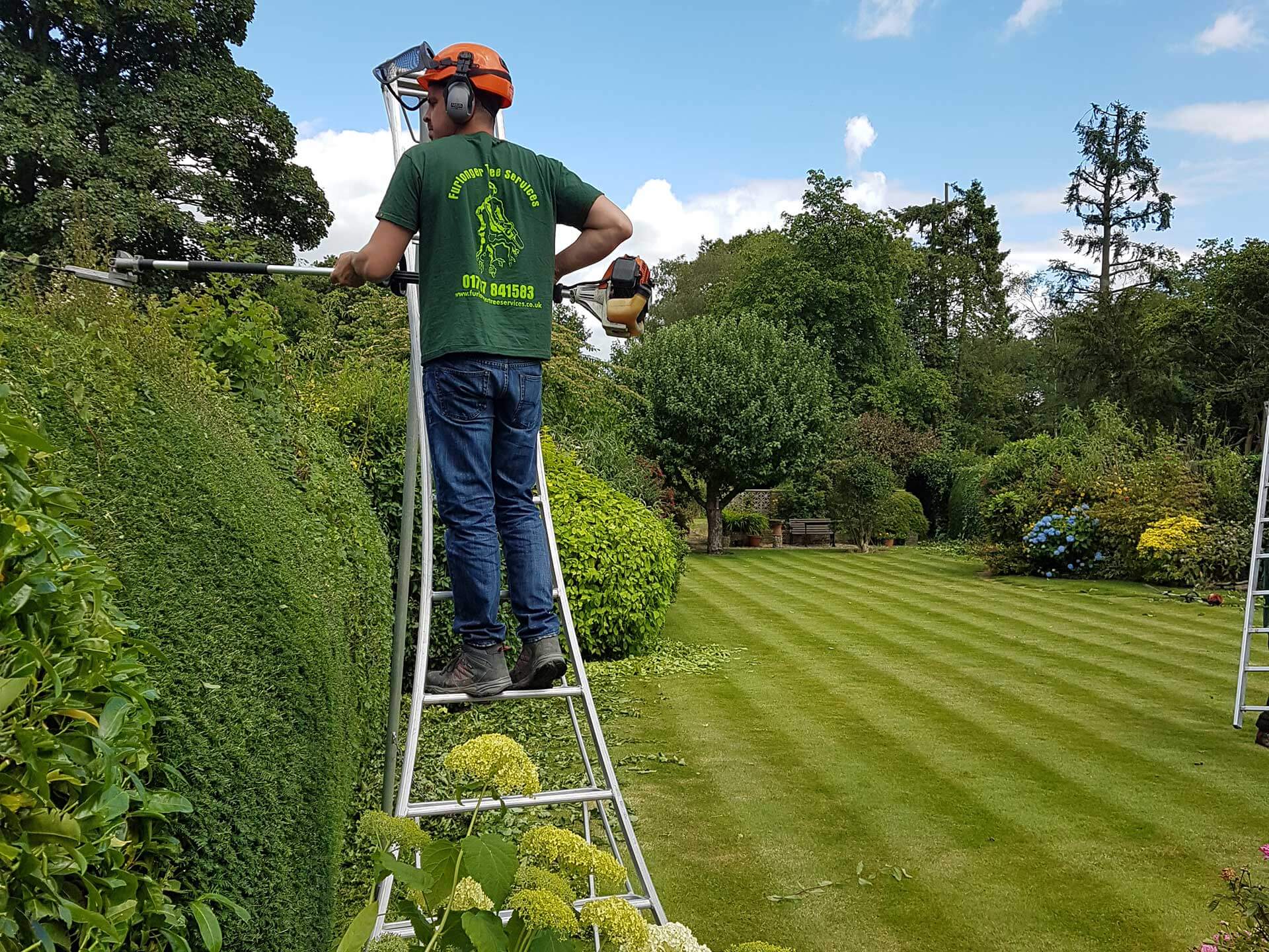 Tree Surgeon in Surrey - Furlonger Tree Services